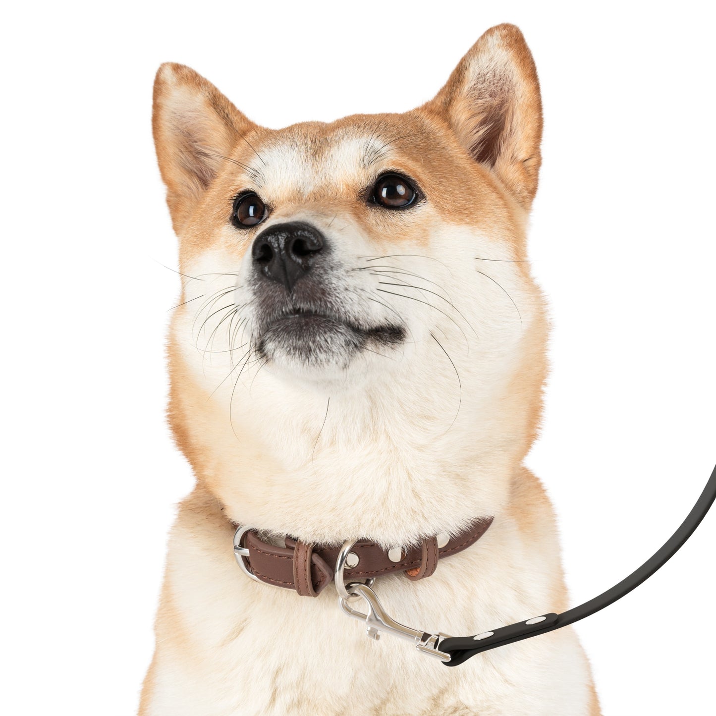 Patriot Pet Leash