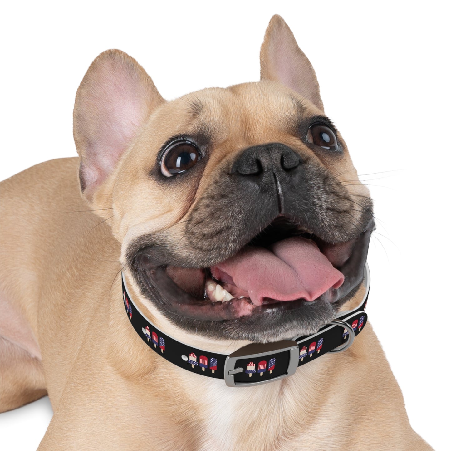 Patriot Dog Collar