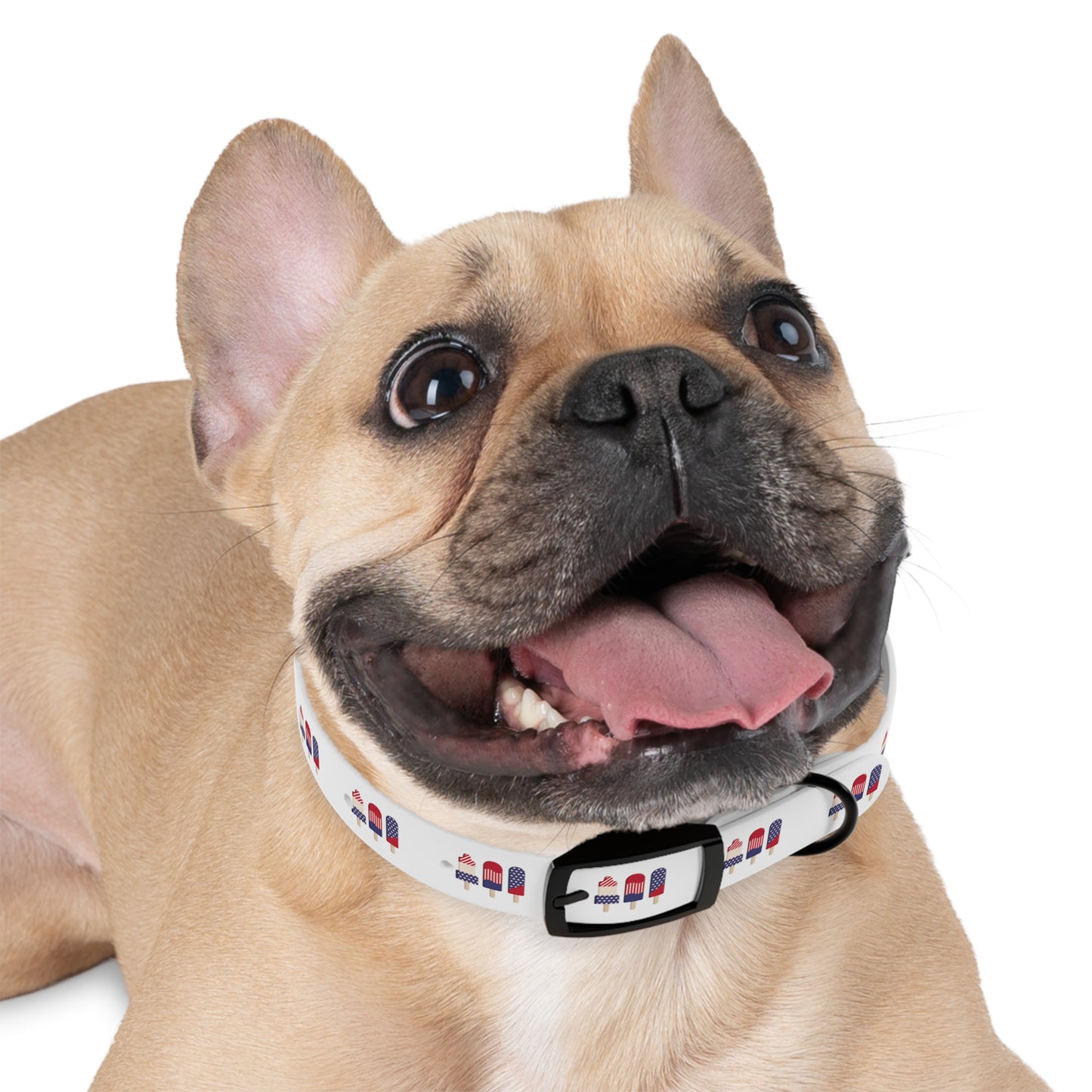 Patriot Dog Collar