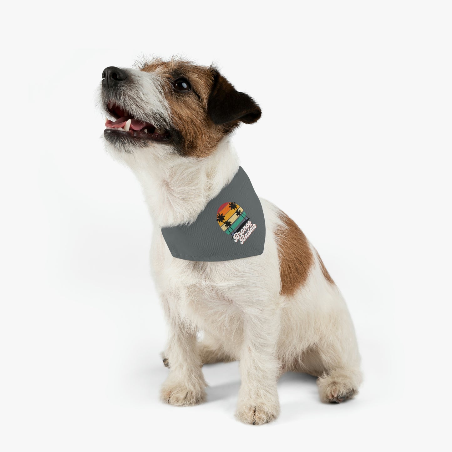 Bronco Baddie - Pet Bandana Collar