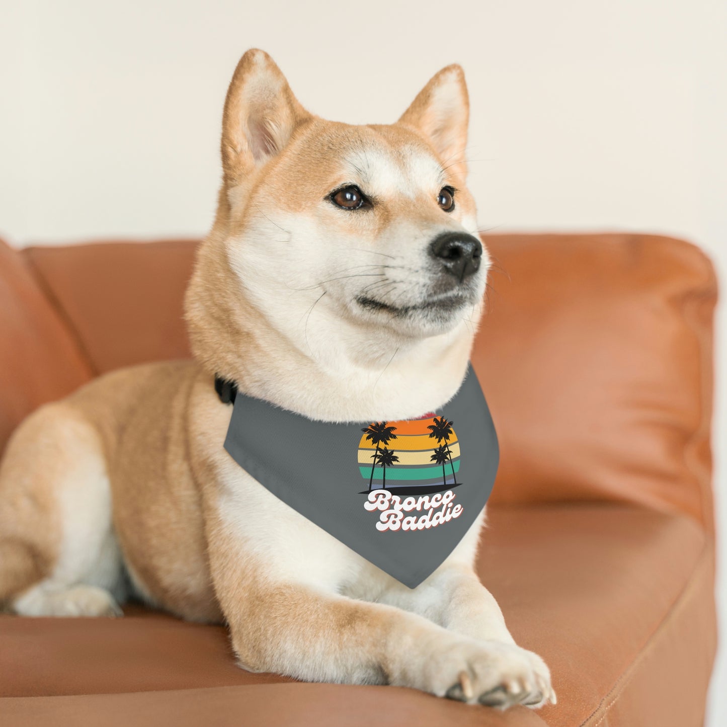 Bronco Baddie - Pet Bandana Collar