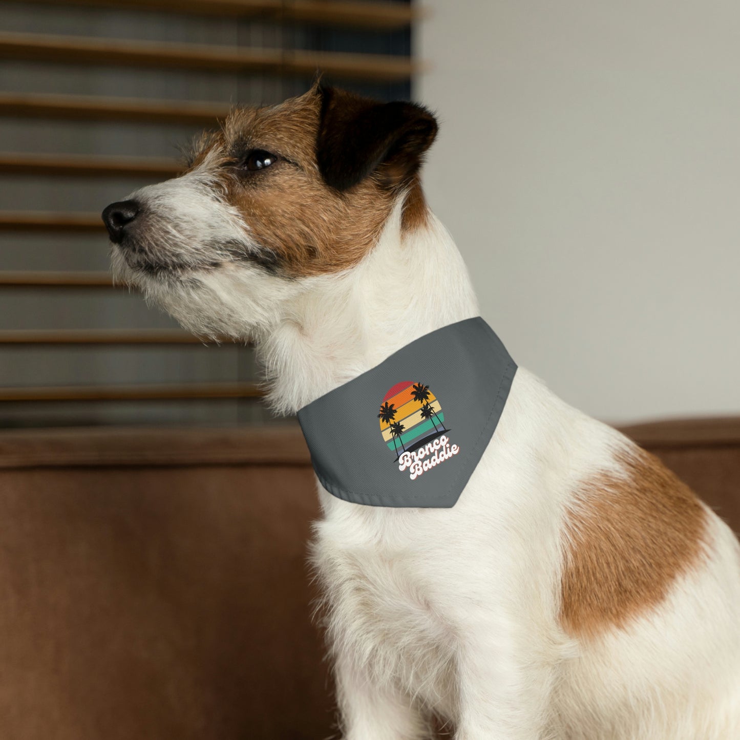 Bronco Baddie - Pet Bandana Collar